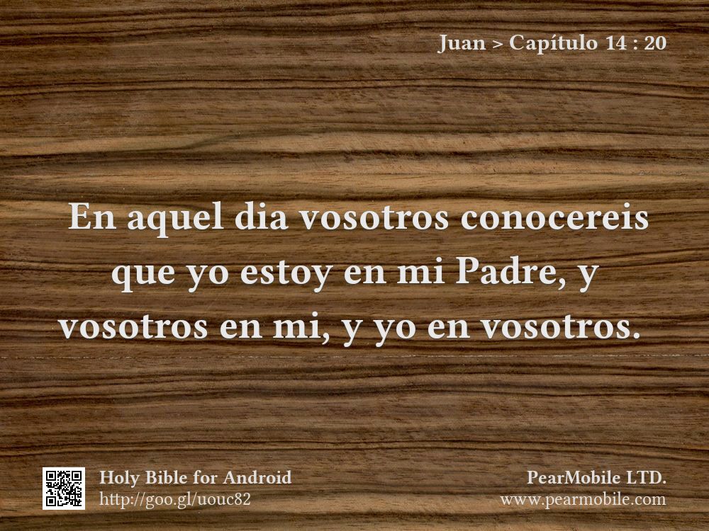 Juan, Capítulo 14:20